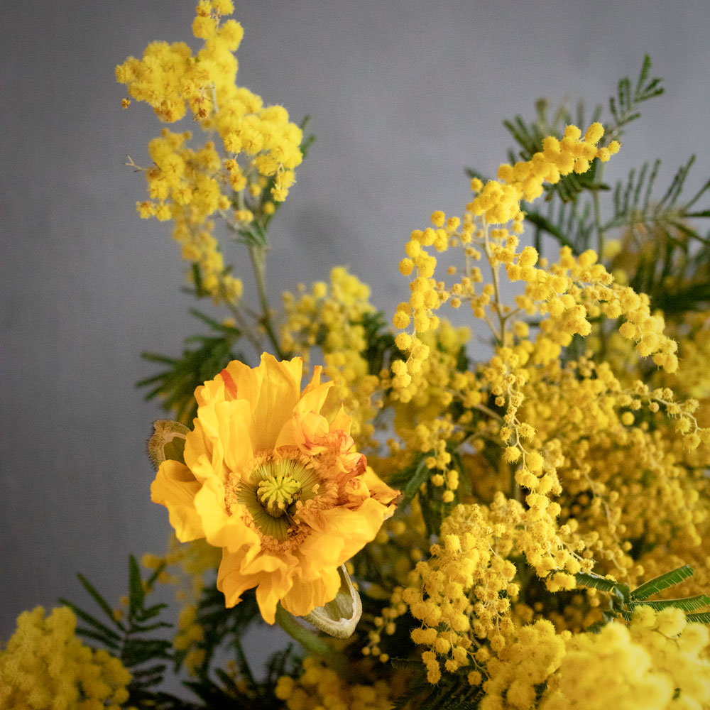 Mimosa-Inspirationsbild-1-1000px.jpg