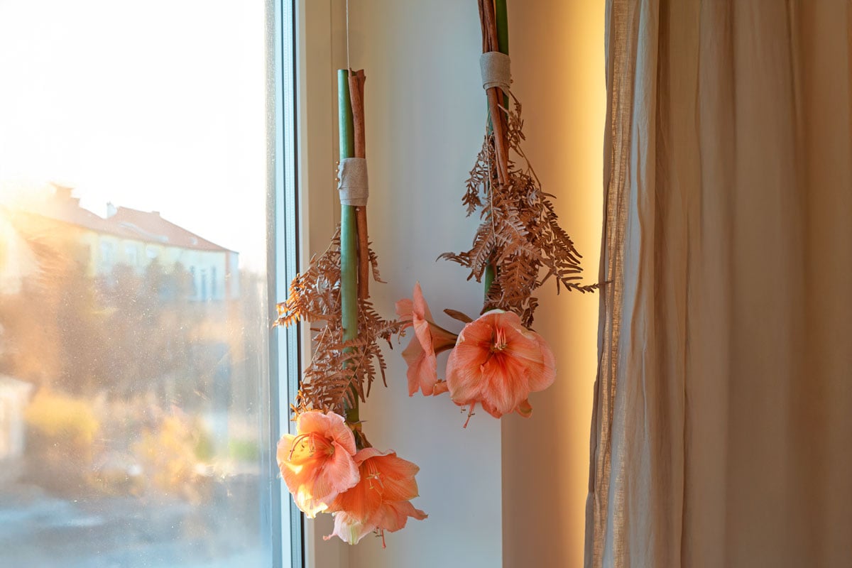 5 sätt att pynta med amaryllis